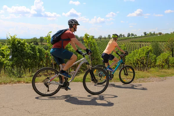 Cycling