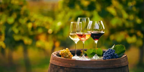 Dégustation de vins